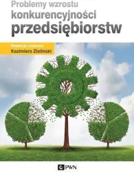 Problemy wzrostu konkurencyjności przedsiębiorstw