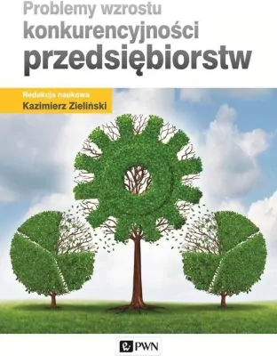 Problemy wzrostu konkurencyjności przedsiębiorstw