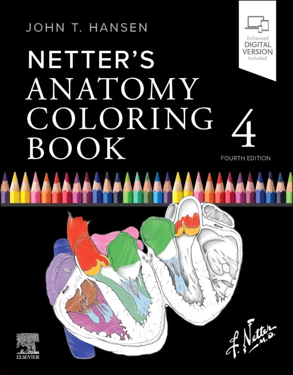 Netter's Anatomy Coloring Book - tantis.pl