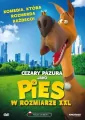 Pies w rozmiarze XXL DVD - tantis.pl