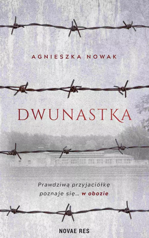 Dwunastka - tantis.pl