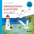 Drogocenny kamyczek. Bajka uspokajanka - tantis.pl