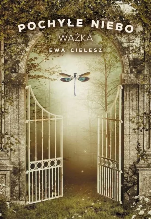 Ważka. Pochyłe niebo. Tom 3 - tantis.pl