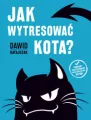Jak wytresować kota? - tantis.pl