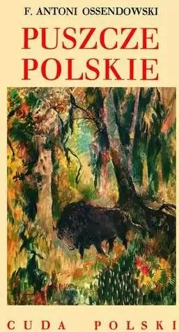 Cuda Polski. Puszcze polskie - tantis.pl