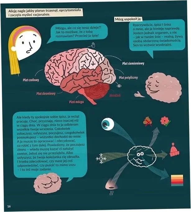 Sen Alicji, czyli jak działa mózg - tantis.pl