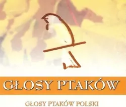 Głosy Ptaków vol.1 - Głosy Ptaków Polski (2CD)