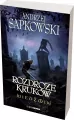 Rozdroże kruków. Wiedźmin. Tom 10 - tantis.pl