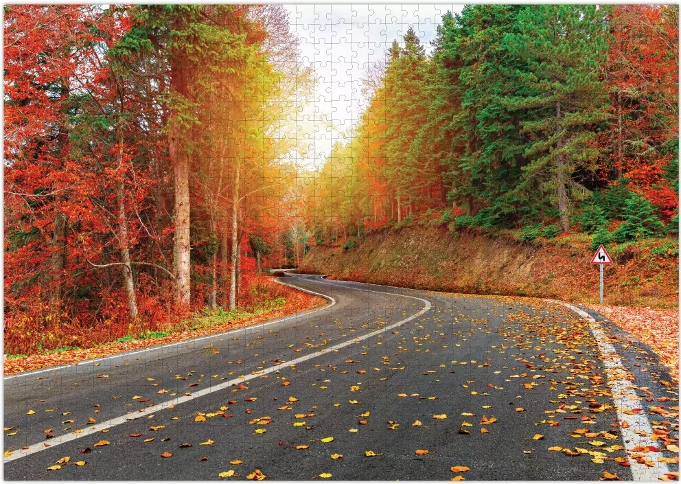 Puzzle 1000 Autumn forest. Turkey - tantis.pl