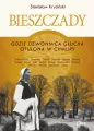 Bieszczady. Gdzie dzwonnica głucha otulona... w.2 - tantis.pl