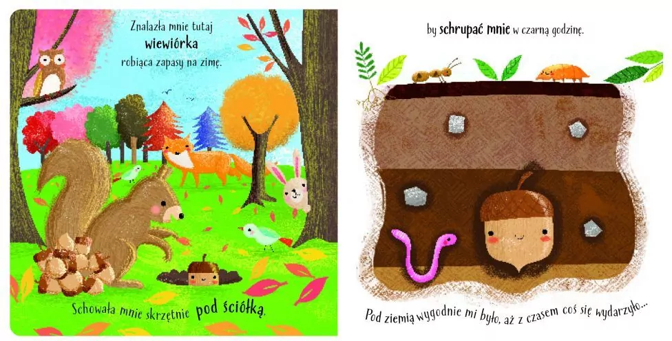 Żołądź. Mój świat - tantis.pl