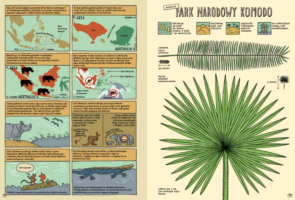 Którędy do Yellowstone? Dzika podróż po parkach narodowych - tantis.pl