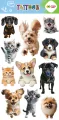 Tatuaże zmywalne Best Friends HAPPY COLOR - tantis.pl