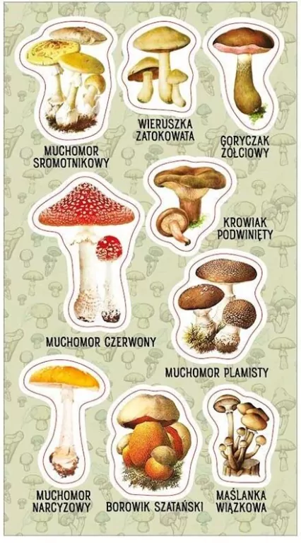 Naklejki. Trujące grzyby - tantis.pl