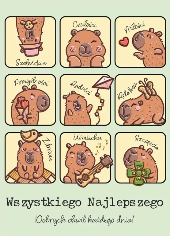 Karnet B6 Kapibary z insta - tantis.pl