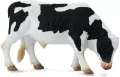 Byk Friesian - tantis.pl