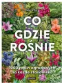 Co gdzie rośnie. 1900 roślin ogrodowych - tantis.pl