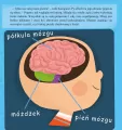 Mózg - tantis.pl