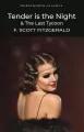 Tender is the Night & The Last Tycoon - tantis.pl
