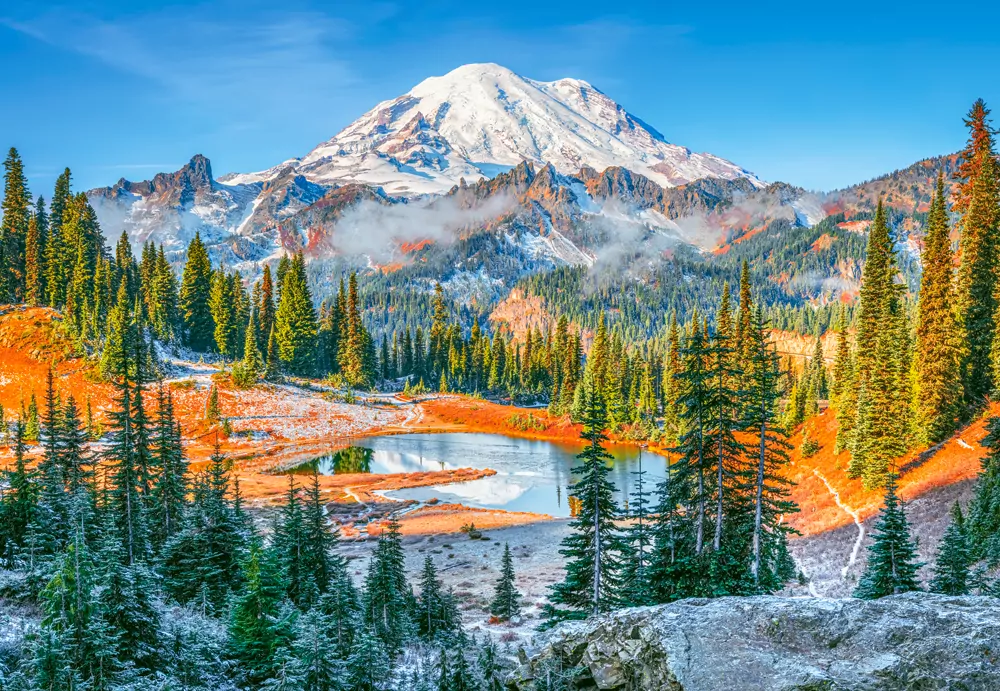 Puzzle 1000 Mount Rainier National Park USA CASTOR - tantis.pl