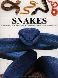 Snakes - tantis.pl