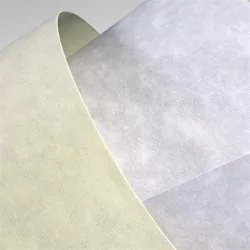 KARTON OZD A4 KREM 220G GAL PAP GRANIT FOL OP20S