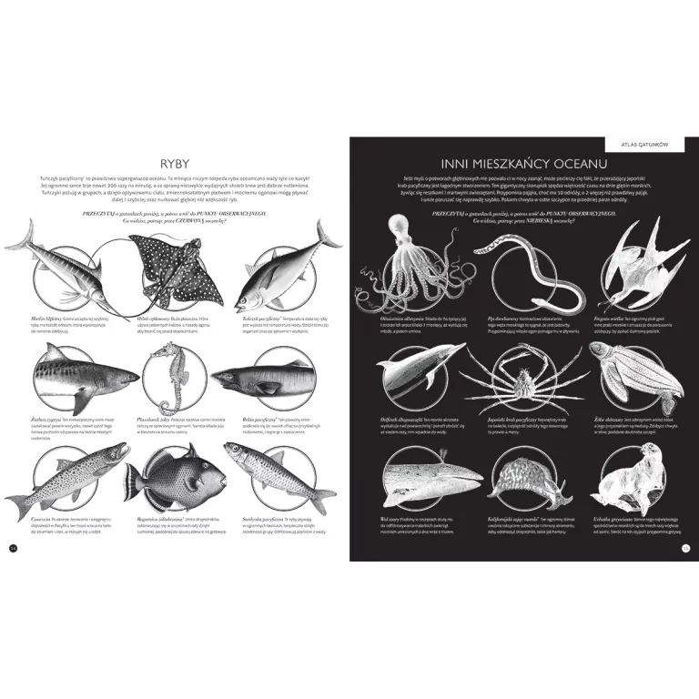 Gabinet oceanów. W Gabinecie Wiedzy - tantis.pl