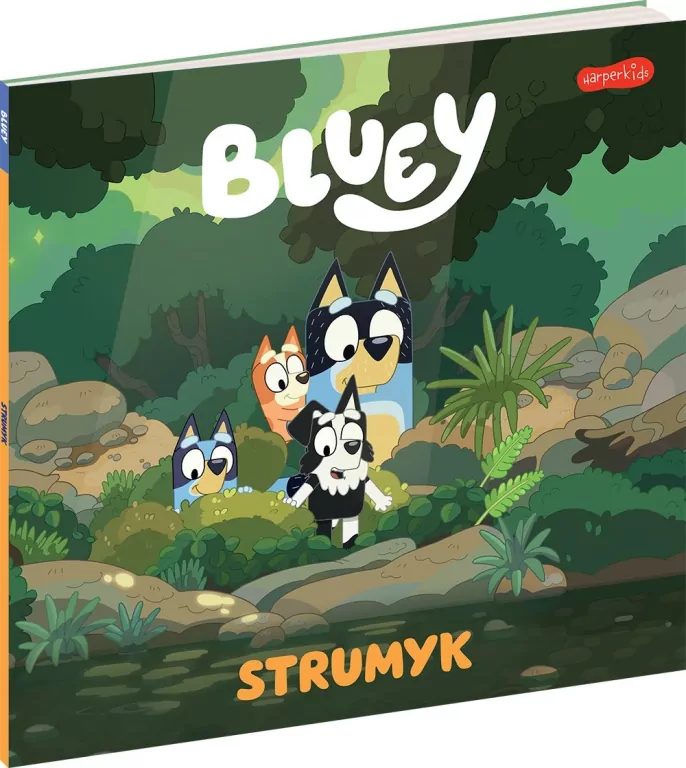 Strumyk. Bluey. Moja czytanka - tantis.pl