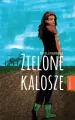 Zielone kalosze - tantis.pl