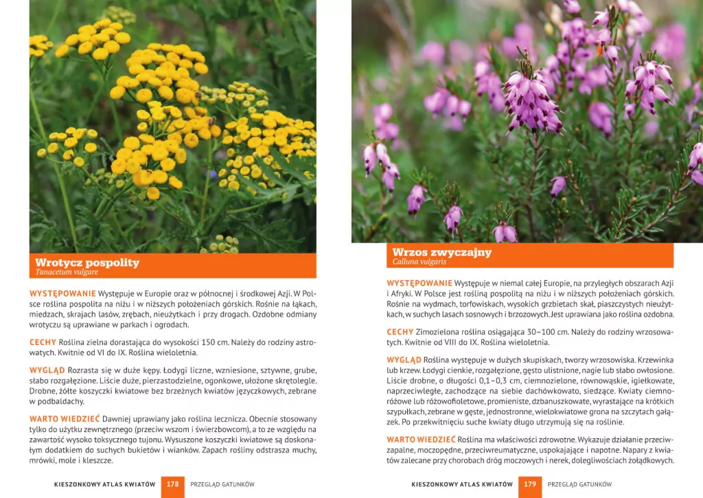 Kieszonkowy atlas kwiatów. 180 gatunków - tantis.pl