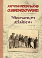Nieznanym szlakiem. Nowele w.2011 - tantis.pl