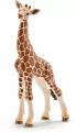 Młoda Żyrafa Wild Life 14751 - tantis.pl