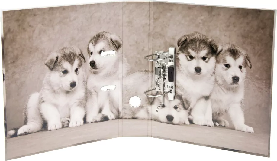 Segregator A4 70 Psy 480718 - tantis.pl