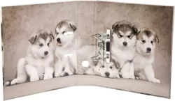 Segregator A4 70 Psy 480718