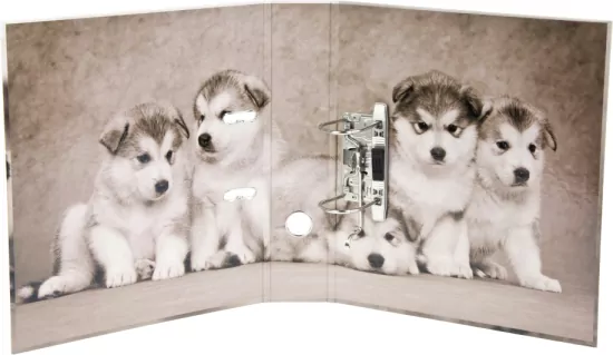 Segregator A4 70 Psy 480718