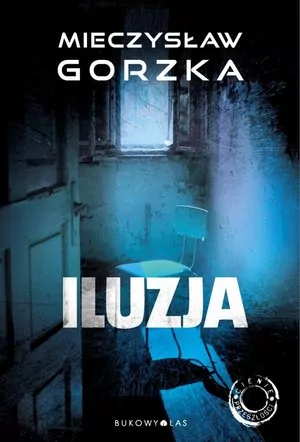 Iluzja. Cienie przeszłości. Tom 2 - tantis.pl