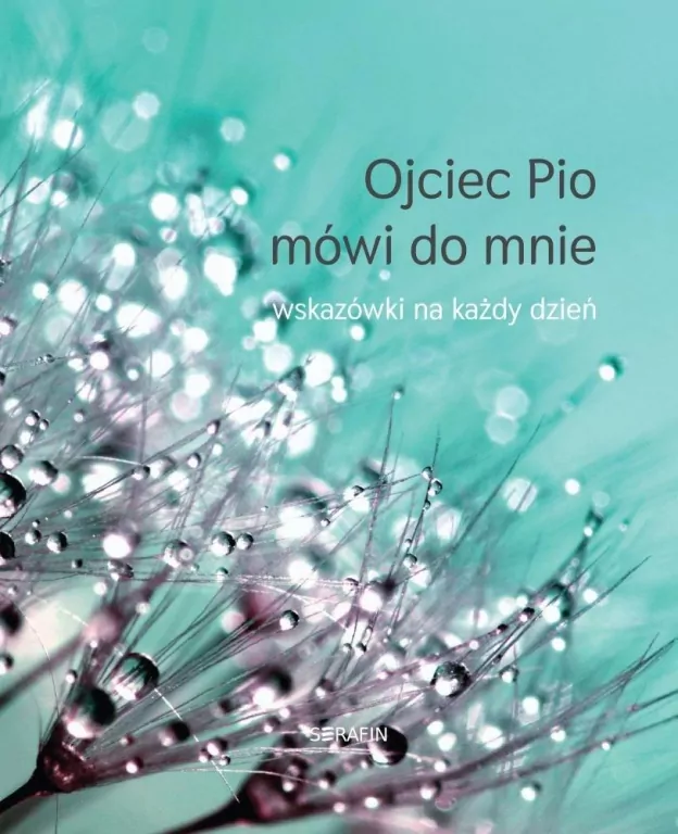 Ojciec Pio mówi do mnie. Wskazówki na każdy dzień - tantis.pl