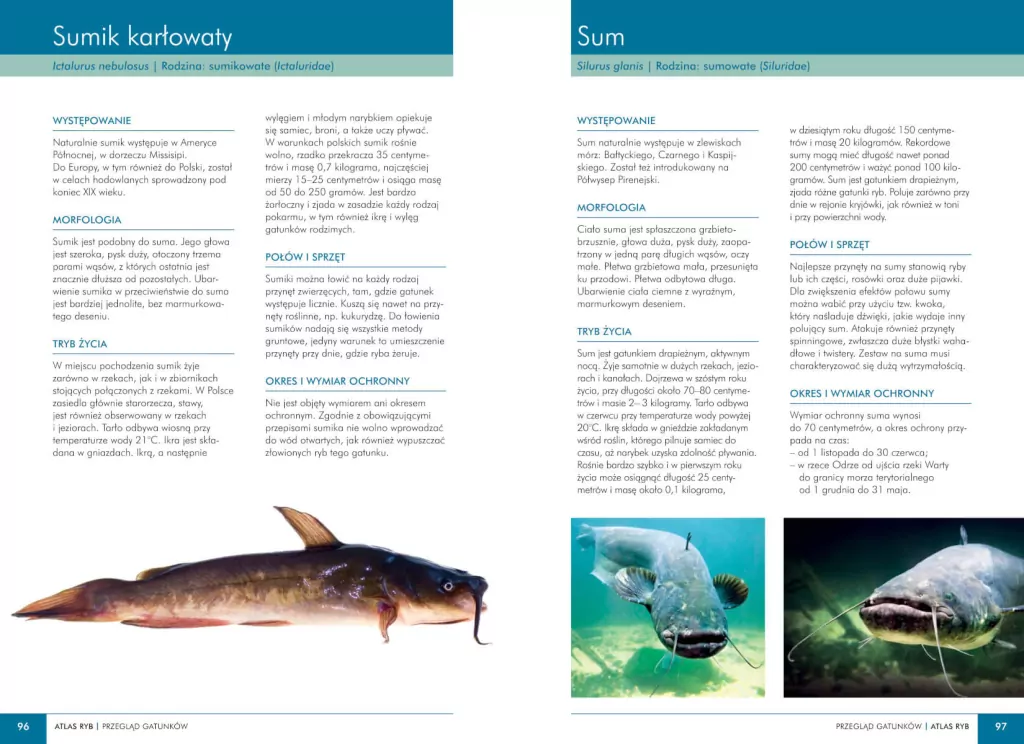 Atlas ryb polskich - tantis.pl