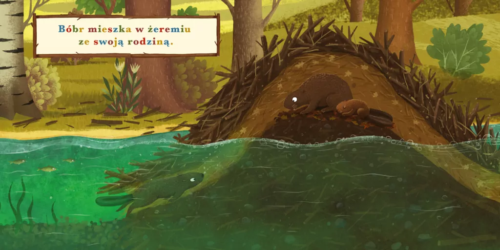 Bóbr. Rok w lesie - tantis.pl