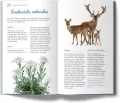 Monachium i Bawaria - tantis.pl