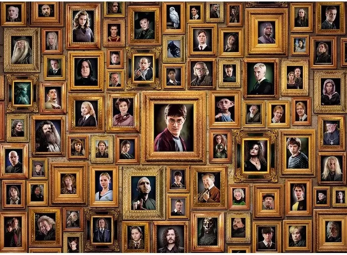 Puzzle 1000. Compact Impossible Harry Potter - tantis.pl