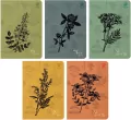 Zeszyt By Nature- Herbs. A5/64K kratka. 10 sztuk - tantis.pl