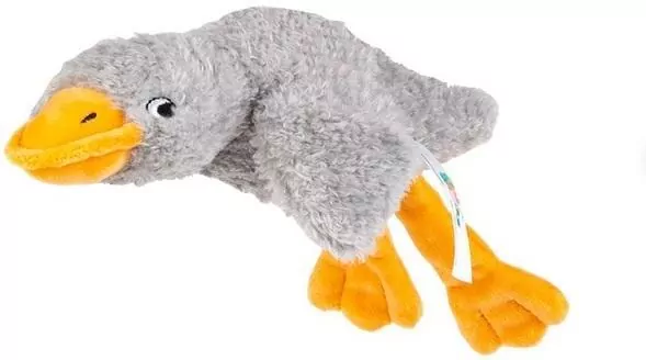 Sensoryczna Gęś szara - tantis.pl