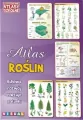 Atlas roślin - tantis.pl
