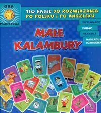 Małe kalambury. 110 haseł po polsku i po angielsku - tantis.pl