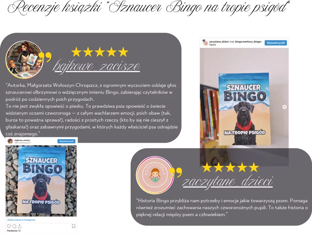 Sznaucer Bingo na tropie psigód - tantis.pl