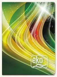 Kalendarz 2021 Kieszonkowy EKO MIX TELEGRAPH - tantis.pl