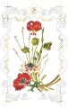 Karnet kwiaty lilie 12x18 + koperta - tantis.pl