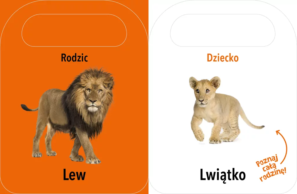 Otwórz i zobacz! Rodzice i dzieci - tantis.pl