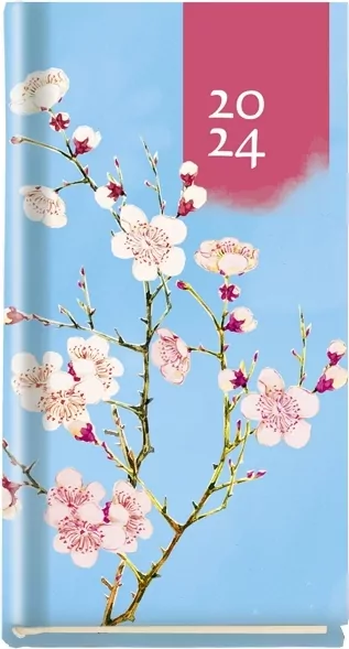 Terminarz 2023 Koliber. Michalczyk i Prokop - tantis.pl